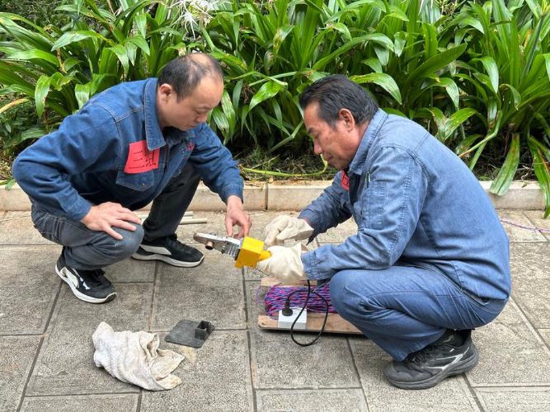 保利物业：领跑行业新高度